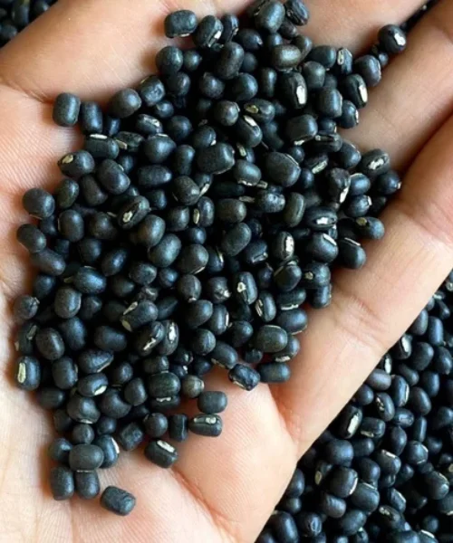 Black Gram (Whole Urad Dal)